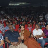 Jr NTR's Oosaravelli Audio Launch Gallery | Picture 77188